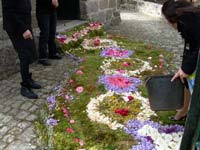 Tapete de flores que foi atravessado pelo Bispo da Diocese