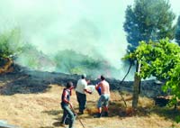 Populao do concelho passou vrios dias a salvar os seus bens das chamas