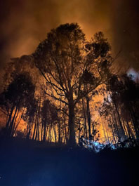 Fogo em rea florestal em Cunhas (Soajo)
