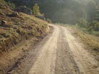 A construo e o arranjo de caminhos florestais  preocupao do municpio