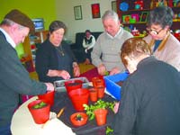 Os idosos ocupando o seu tempo em actividades de jardinagem