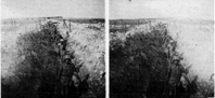 Referncia: SG013_Batalha: Champagne_Ttulo: 207  MT Cornillet  Prisonniers