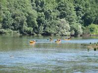 Prtica de desportos nuticos no rio Lima ainda  incipiente