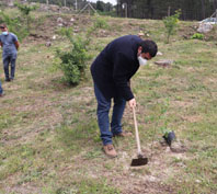 Joo Branco a plantar rvores em baldio de S. Jorge para mostrar que  urgente agir