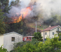 S Penafiel (234 deflagraes) e Paredes (233) tiveram mais ignies do que os Arcos (190) nos primeiros oito meses do ano