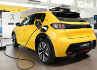 Per�odo de candidatura abriu a 29 de dezembro e encerra a 12 de fevereiro de 2026