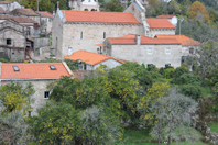 Envelhecimento e desfolhagem afetam alguns pomares de Ermelo