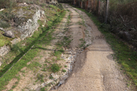 H� trilhos e ecovias que carecem de manuten��o