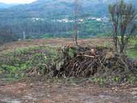 Nas imedia��es da albufeira