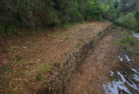 Limpeza de terrenos na proximidade de estradas e pontes