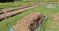 Compostagem para fertiliza��o agr�cola � uma das alternativas �s queimas e queimadas