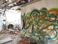Antiga casa florestal do Arieiro vai ser convertida em Centro Interpretativo do Cor�o