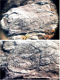 �A Pedra da Costa � a gravura que apresenta a composi��o mais complexa e a que est� mais pr�xima do Castro de �lvora�