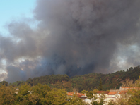 Chamas em Selim formaram extensa coluna de fumo